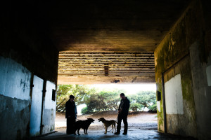 Anna Kuperberg Photography